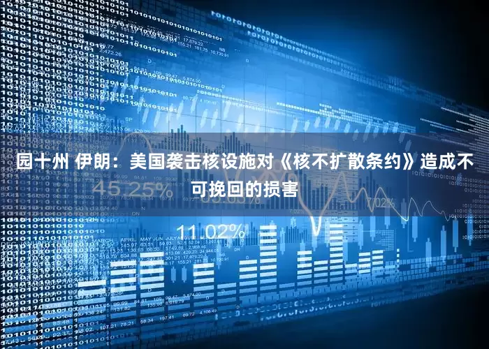 园十州 伊朗：美国袭击核设施对《核不扩散条约》造成不可挽回的损害