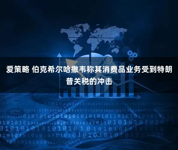 爱策略 伯克希尔哈撒韦称其消费品业务受到特朗普关税的冲击