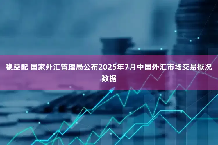 稳益配 国家外汇管理局公布2025年7月中国外汇市场交易概况数据