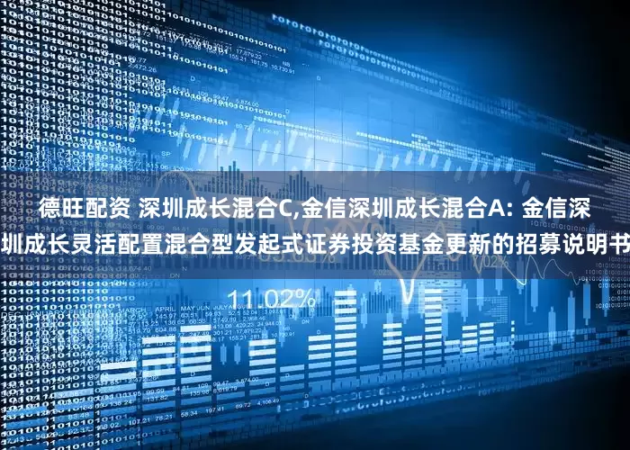 德旺配资 深圳成长混合C,金信深圳成长混合A: 金信深圳成长灵活配置混合型发起式证券投资基金更新的招募说明书